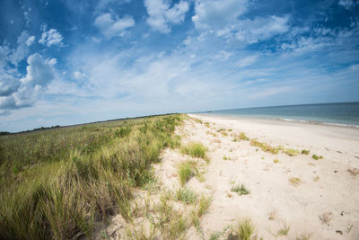 Scenic view of beach against sky