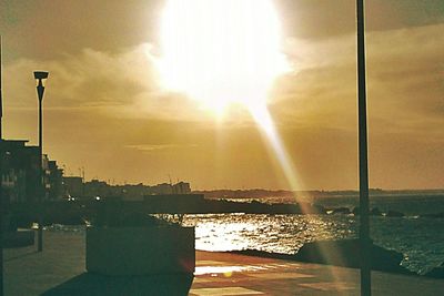 Sun shining through trees