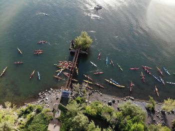 High angle view of plants and kayaks by river