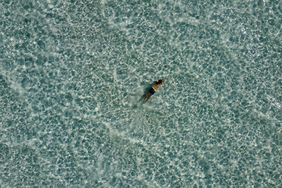 Little kid snorkeling on a turquoise ocean. aerial view