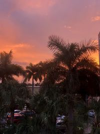 Silhouette palm trees against sky during sunset