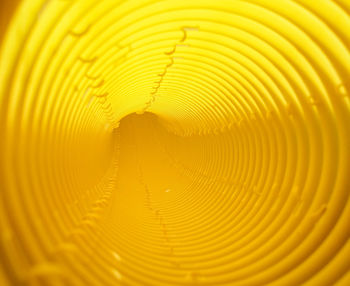 Full frame shot of leaf