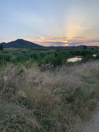 Scenic view of landscape against sky during sunset