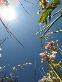 Low angle view of leaves against sky