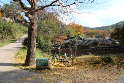 Bicycle by trees against sky