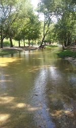 Scenic view of river