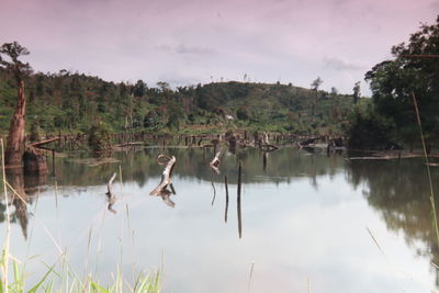 Reflection of trees in lake against sky