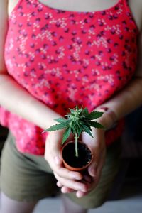 Midsection of woman holding red plant