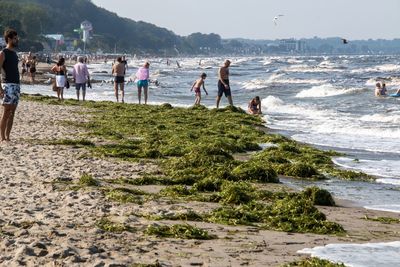 Group of people on beach