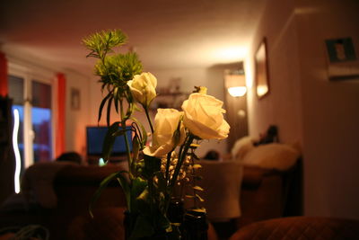 Midsection of woman holding flowers
