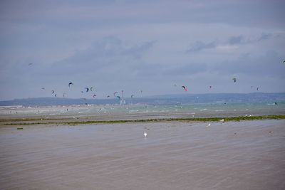 Birds flying over sea against sky