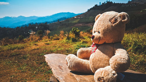 Stuffed toy on land against sky