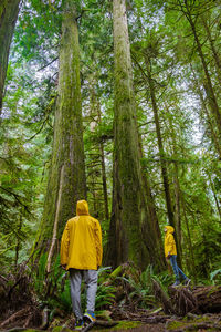 Rear view of woman walking in forest