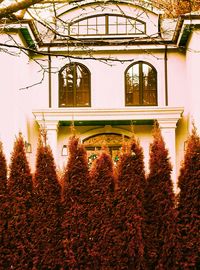 House and trees on field during autumn