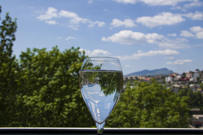 Glass of wine and trees against sky