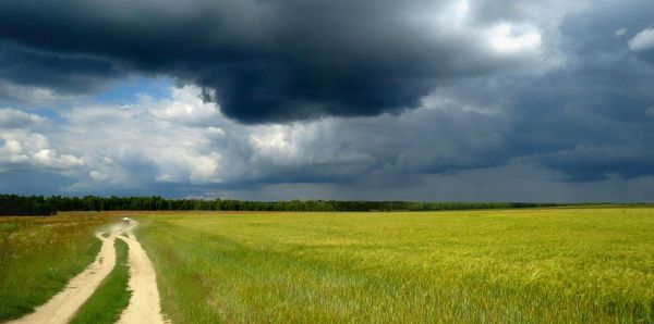 Tire track on grassy field against cloudy sky