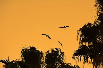 Low angle view of silhouette birds flying against sky during sunset