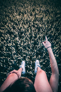 Low section of woman standing by bare tree
