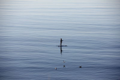Man paddleboarding in sea