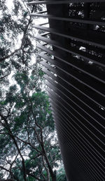 Low angle view of trees against sky