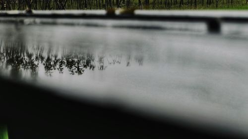 Close-up of grass in lake during winter