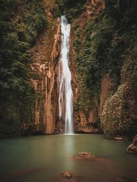 View of waterfall in forest