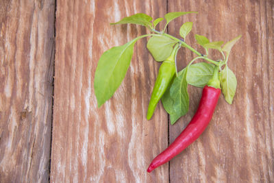 High angle view of red chili peppers on table