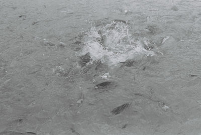 Full frame shot of frozen sea