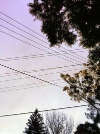 Low angle view of birds perching on power line