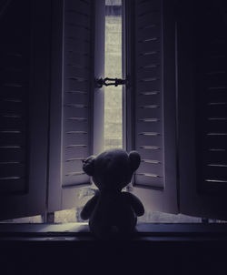 Teddy bear on the window