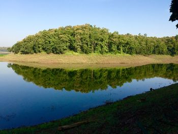 Reflection of trees in water