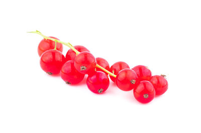 Close-up of red berries against white background