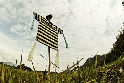 Low angle view of horse on field against sky