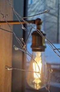 Close-up of illuminated light bulb