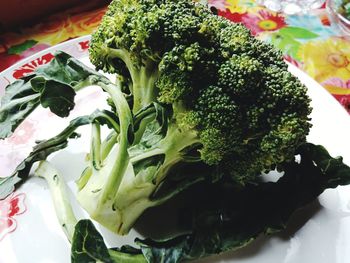 Close-up of broccoli in plate