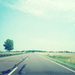 Empty road along trees