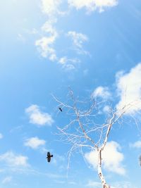 Low angle view of bare tree against sky