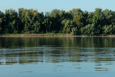 Scenic view of lake in forest against sky