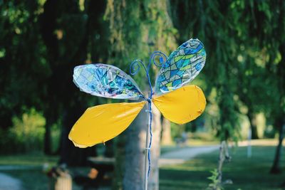 Close-up of butterfly on yellow flower