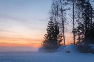 Snow covered land and trees against sky during sunset