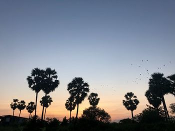 Low angle view of silhouette trees against sky during sunset