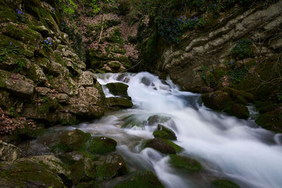 Stream flowing through rocks in forest