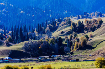 scenics - nature
