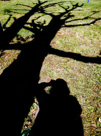 High angle view of shadow on leaf