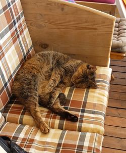 High angle view of cat sleeping on floor