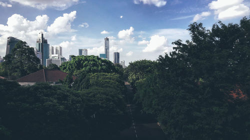 Trees and cityscape against sky