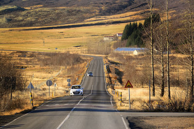 A scene from rural iceland, near strokkur geyser.