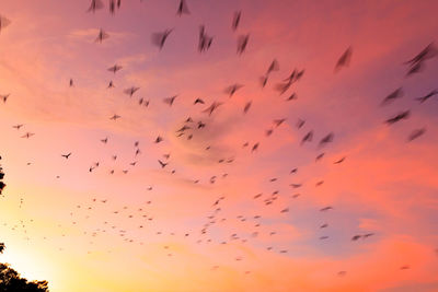 Low angle view of sky at sunset