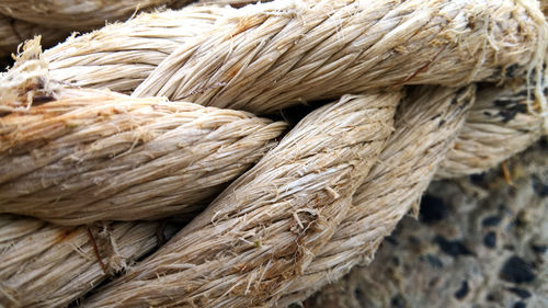 Close-up of rope tied wood