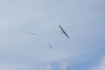 Low angle view of airplane flying in sky